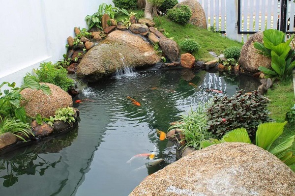 cuội sỏi